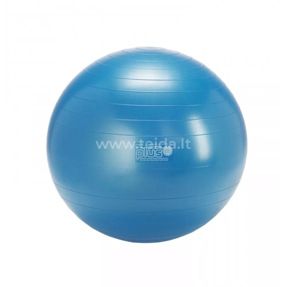 Gymnic Plus kamuolys 65 mėlynas